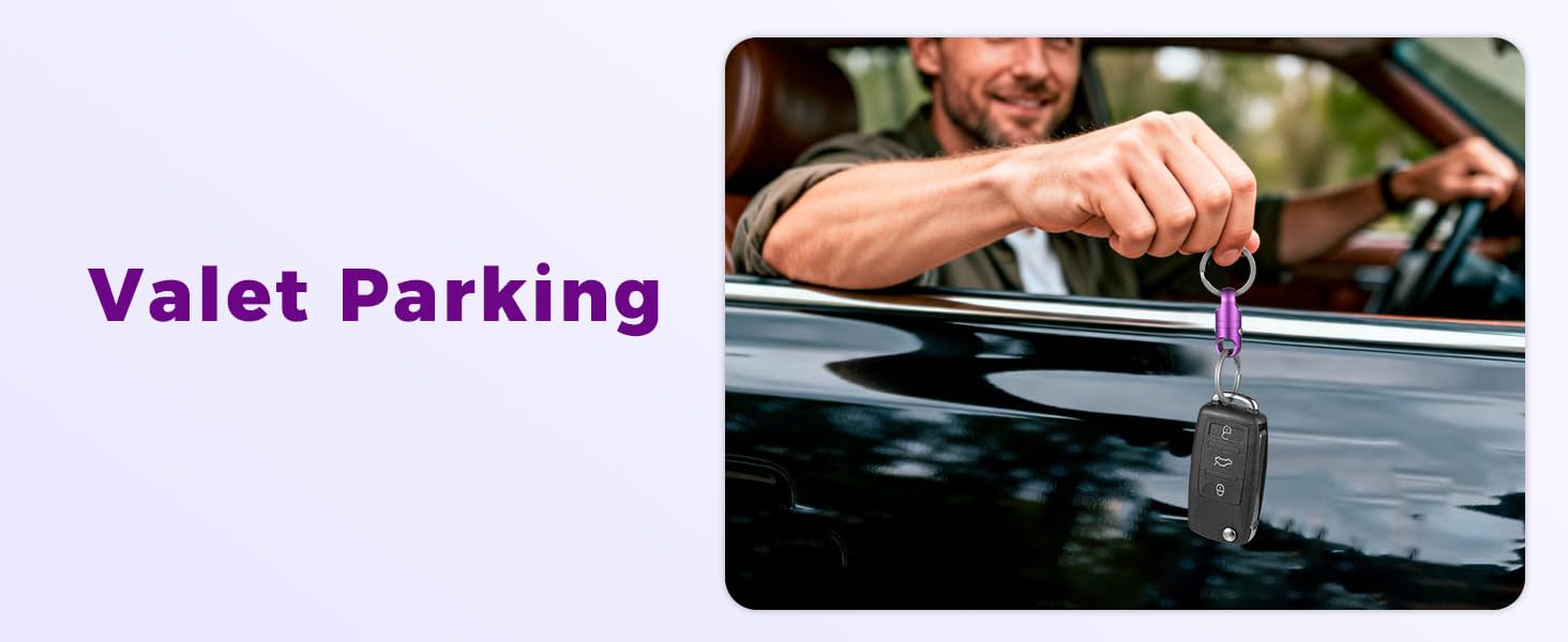 quick detach keychain for valet parking
