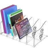 Clear File Organizer for Desk, 5-Section Upright Plastic Desktop File Folder Sorter with Rose Pat...