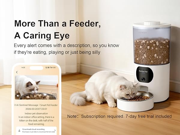 Automatic Cat Feeder with 2K Camera 5G/2.4G WiFi 6.5L Smart Pet Feeder for Cat & Small Dog