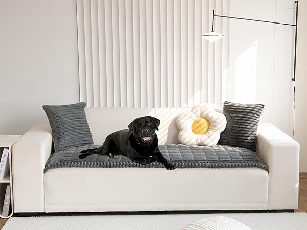 Dark Grey Couch Cover