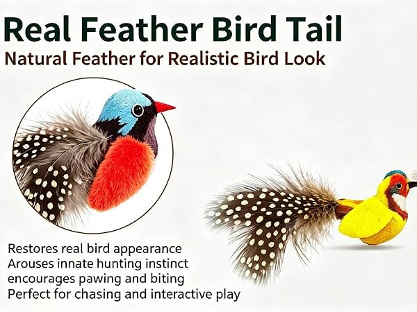 birdlike cat toy