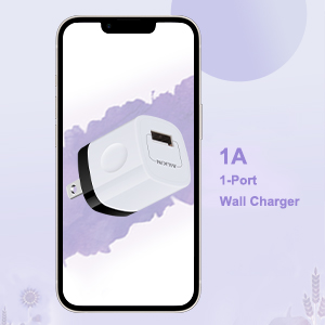 usb wall charger plug
