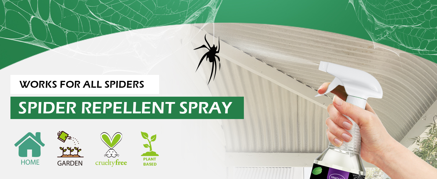spider repellent indoor