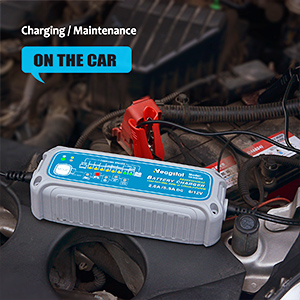 Trickle Battery Charger