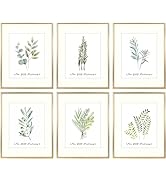 Golden State Art, 11x14 Gold Picture Frame Displays Photo 8x10 with Ivory Mat or 11x14 Without Ma...