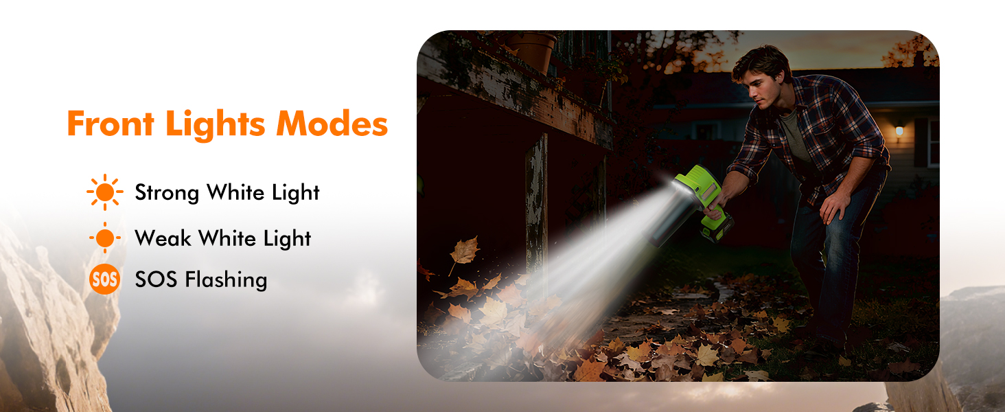 electric leaf blower