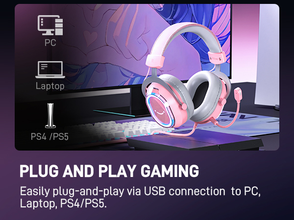 H13P compatibility