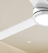 CSWF Ceiling Fan Light Modern With Remote - Outdoor Ceiling Fan with Remote, 3000K-6500K Dimmable...