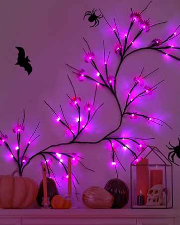 https://m.media-amazon.com/images/S/aplus-media-library-service-media/139a28fc-f0da-4037-81a9-aae46b5848ea.__CR0,0,362,453_PT0_SX362_V1___.jpg