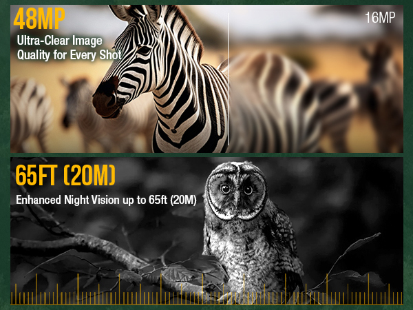 night vision hunting trail camera