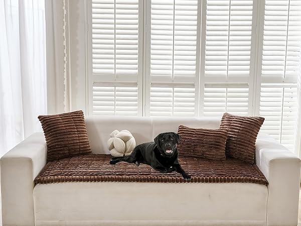 Dark Brown Couch Cover