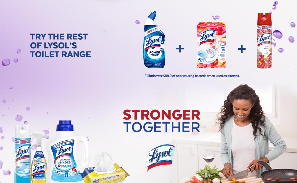 Try the rest of Lysol's toilet range