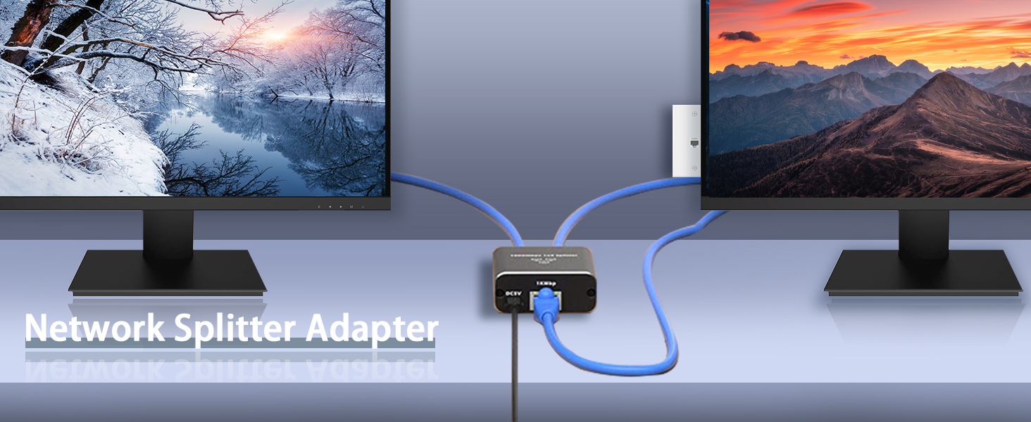 1000Mbps Network Splitter