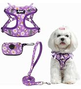 PUPTECK No Pull Dog Harness and Leash Set Reflective No Choke Step in Puppy Halter for XS Small a...