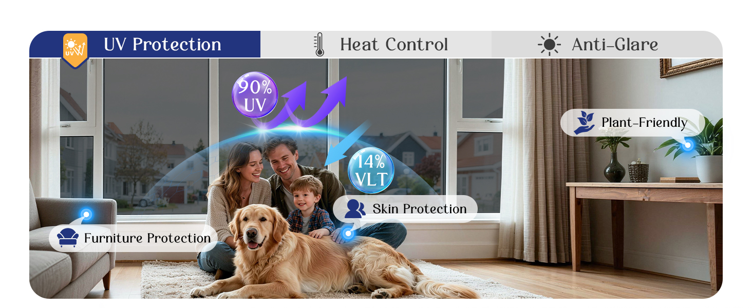 window tint for home
