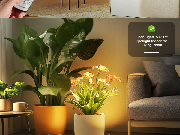 Floor spotlights are decorating the indoor plants