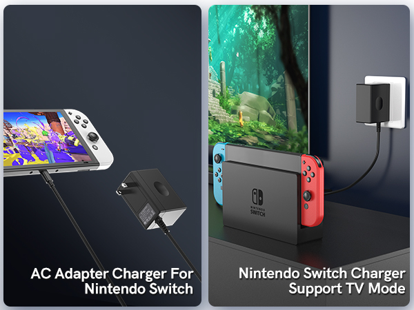 Nintendo switch charger