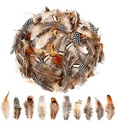 SendyFeather 200pcs 10 Style Natural Feathers Assorted Mixed Feathers for Dream Catcher Crafts DI...