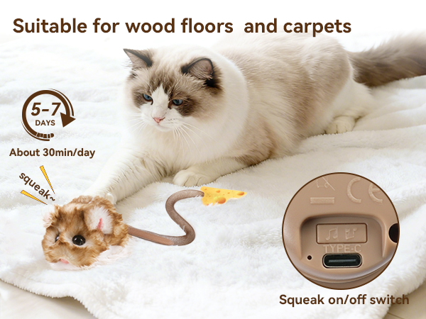 Text reads 'Suitable for wood floors and carpets' and 'About 30min/day'. Interactive cat toy on carpeted surface with rope design, featuring squeak-off switch control shown in detail circle.