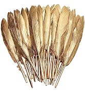 FeelfunFeather 120pcs Gold Goose Cochettes Feather Natural Bulk 4-6 inch 10-15cm for Wedding Part...