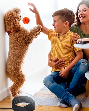 https://m.media-amazon.com/images/S/aplus-media-library-service-media/6b260308-bf59-41bc-845b-e9650995527b.__CR313,404,913,1143_PT0_SX362_V1___.jpg
