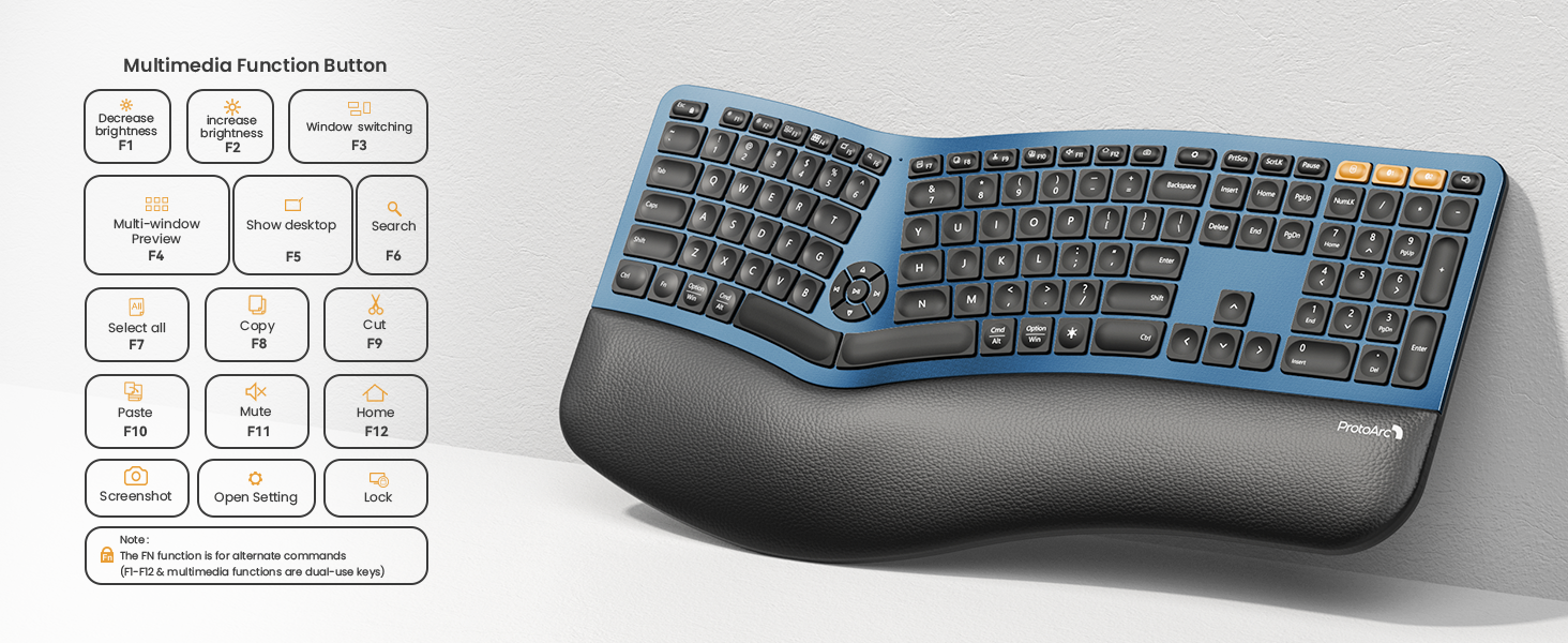 Full Size Backlit Ergo Keyboard