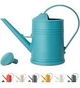 Watering Can for Indoor Plants, Flower Watering Can, Water Can for Plants, Indoor Watering Can wi...