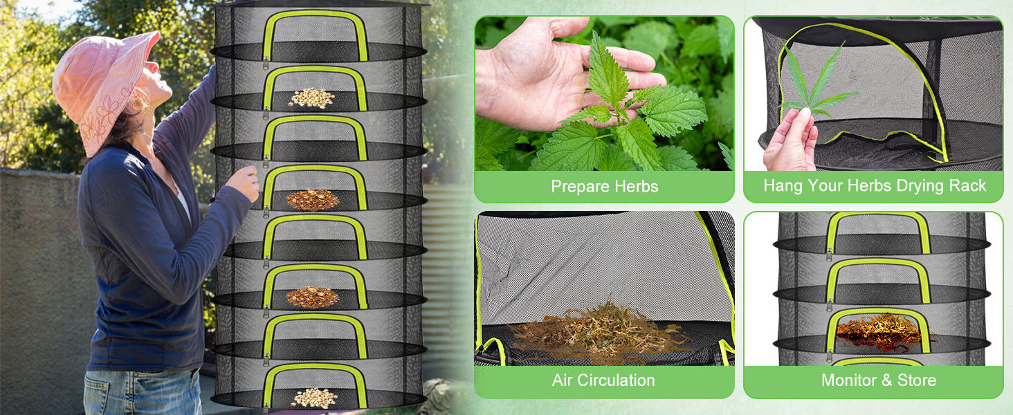 Process of Drying Herbs for Use