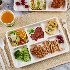 compartment plates