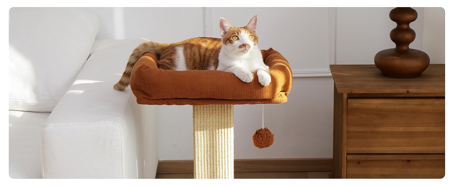 raised cat bed