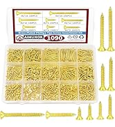 1090pcs Flat Head Self Tapping Wood Screws Assortment Fasteners Kit, Golden Phillips Drive Counte...