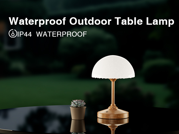 Table Lamp