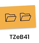 Brother Genuine P-touch TZeB41 Label Tape in cardboard pack: Black on Fluor Orange 18mm