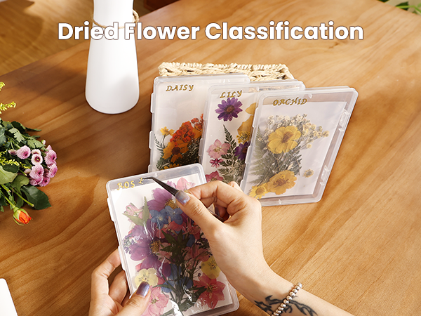Dried Flower Storage box