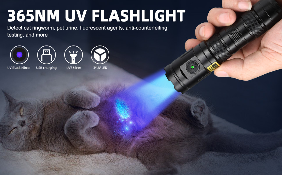 UV 365nm Flashlight