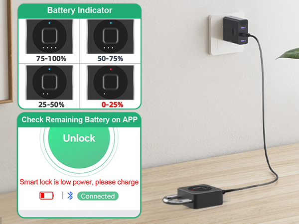 Battery indicator
