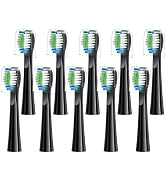 Replacement Toothbrush Heads 10 Pack Compatible with Bitvae Daily D2 Rechargeable Toothbrush, D2 ...