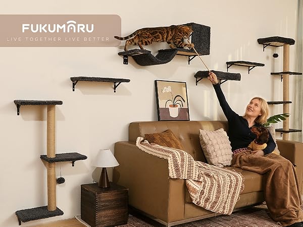 cat wall jungle