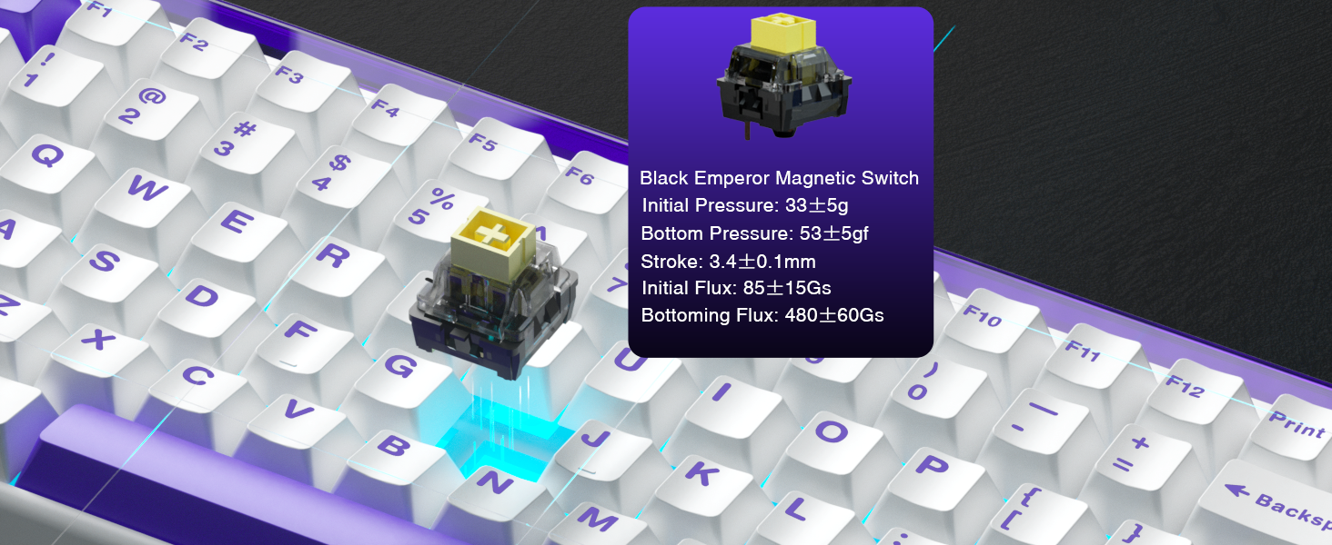 leobog magnetic Switch
