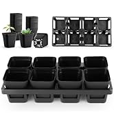 8 Cell Nursery Pots Trays 6 Pack (12