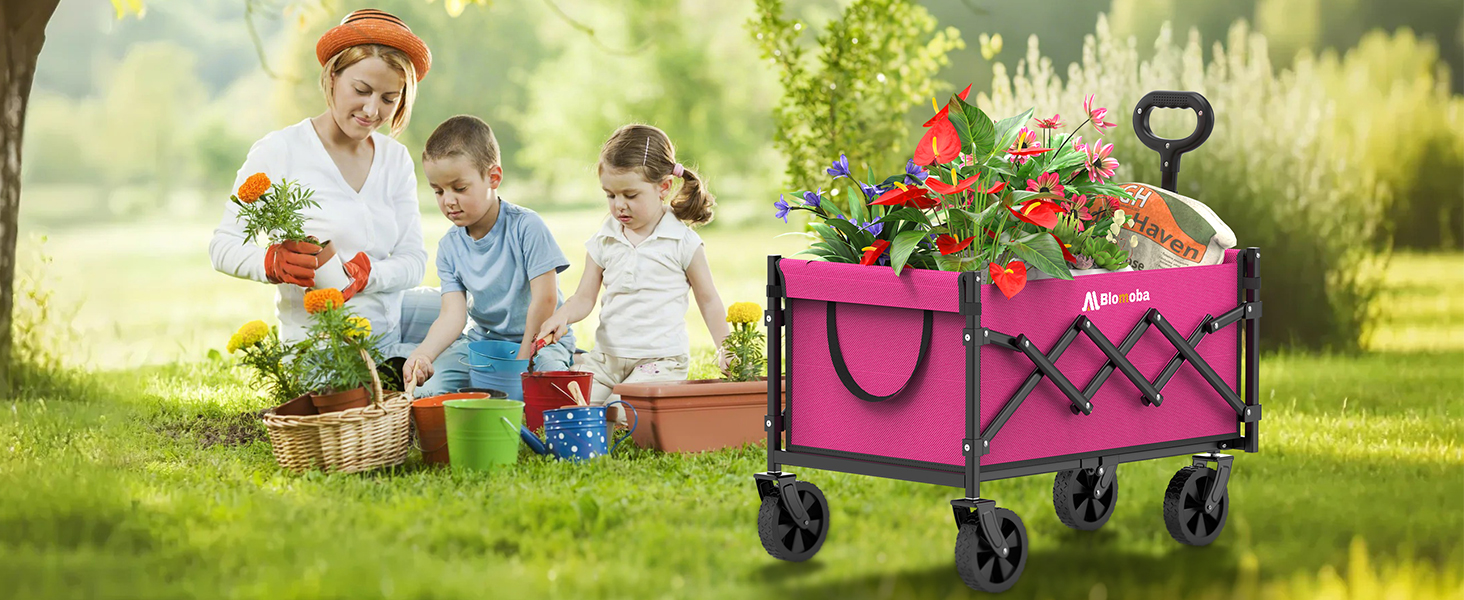 collapsible wagon