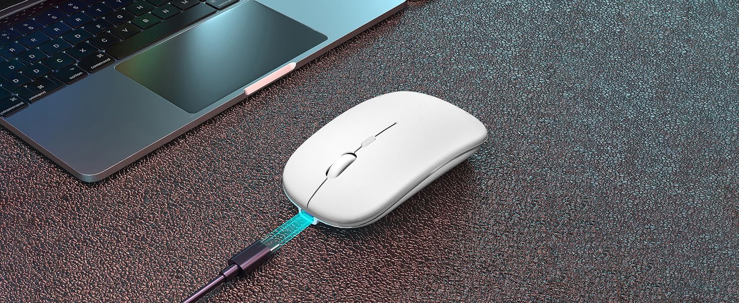 Bluetooth Wireless Mouse