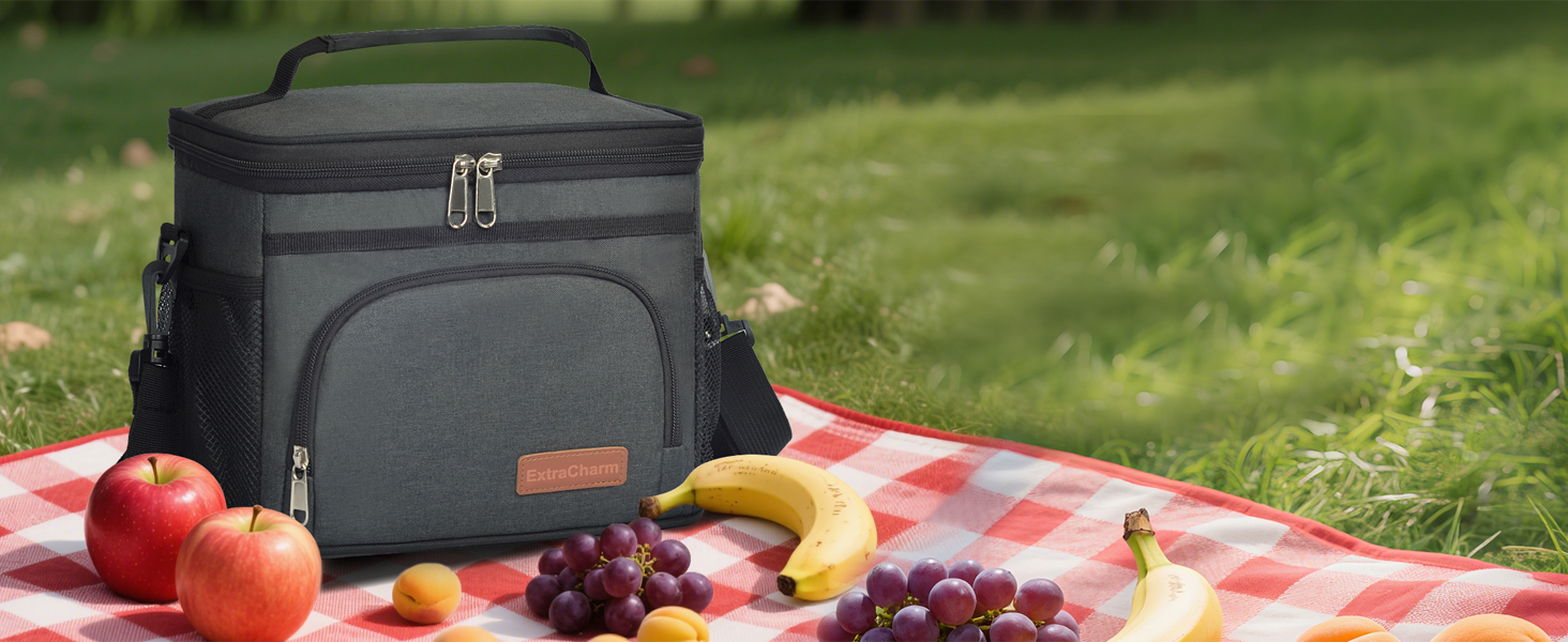 ExtraCharm Insulated Lunch Bag for Women/Men