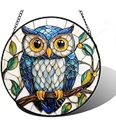 DASTOLL Stained Glass Window Hanging, Owl Gifts for Women Sun Catchers Diamond Glass Panel Hangin...
