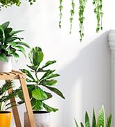 Furshus Bamboo Plant Stand - Indoor/Outdoor 3 Tier Plant Ladder, 8 Potted Flower Holder, Natural