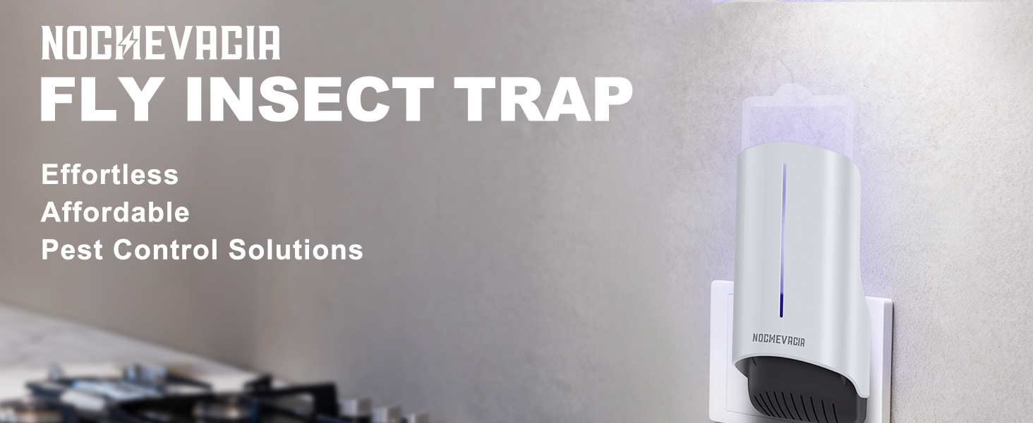 fly trap