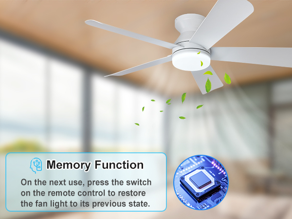 ceiling fans