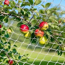 Chicken Coop Netting