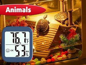hygrometer for incubator, reptile terrarium, tortoise house