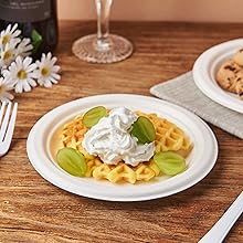 Paper Plates